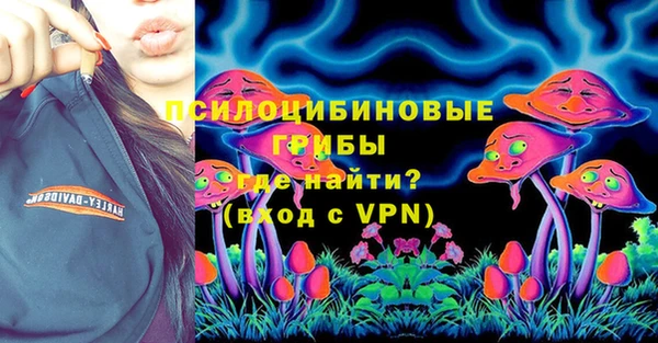 МДПВ Алексин