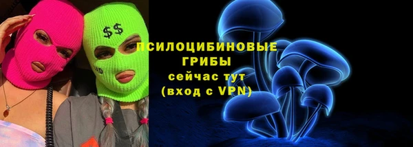 ГАЛЛЮЦИНОГЕННЫЕ ГРИБЫ Алексеевка