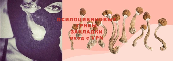 apvp Алзамай