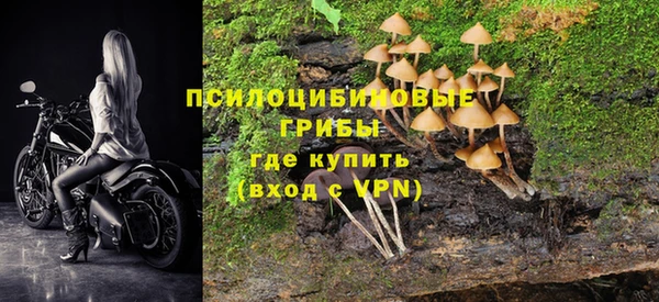 apvp Алзамай
