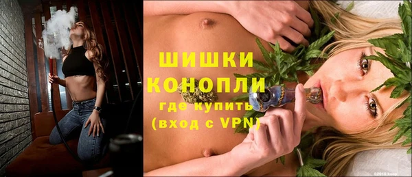 ГАЛЛЮЦИНОГЕННЫЕ ГРИБЫ Алексеевка